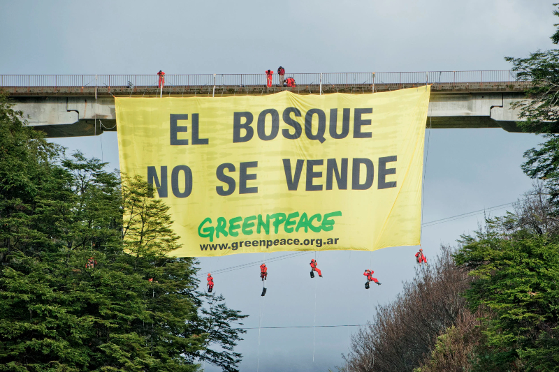 Greenpeace (1)