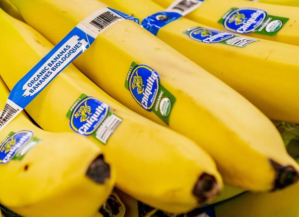 El Gobierno anunció que abre las importaciones para productos de la canasta básica El Gobierno anunció que abre las importaciones para productos de la canasta básica