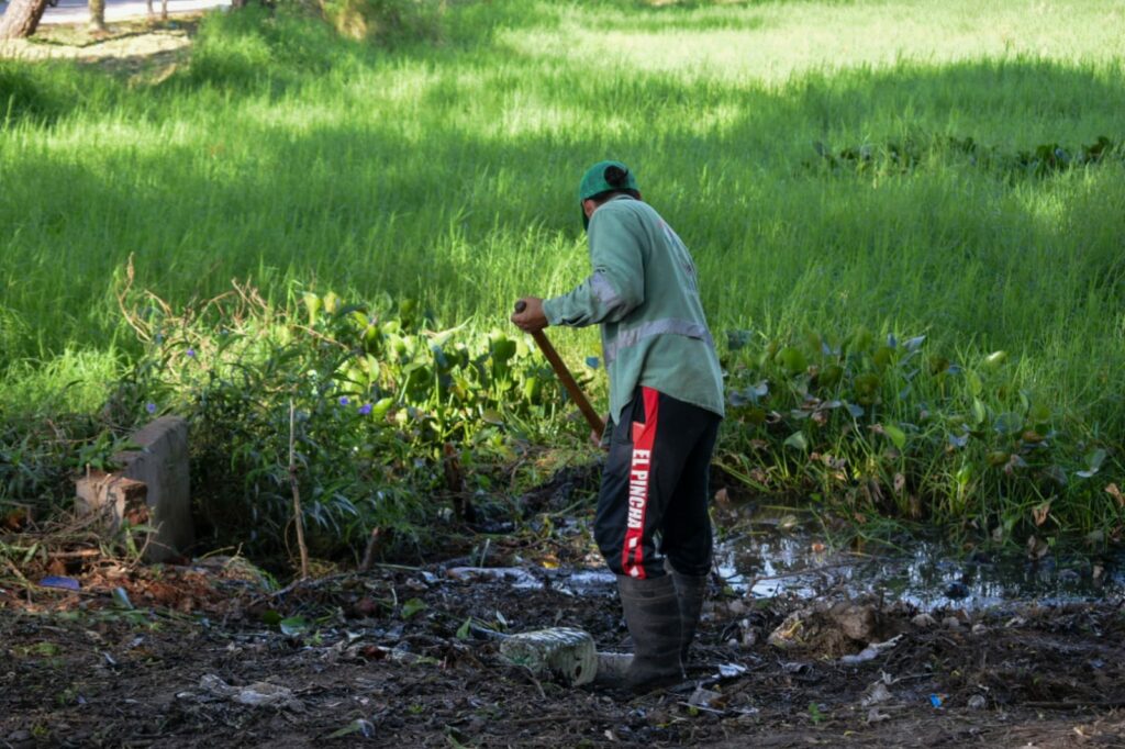 Intervenciones municipales para mantener desagües en buen estado y recuperar lagunas
