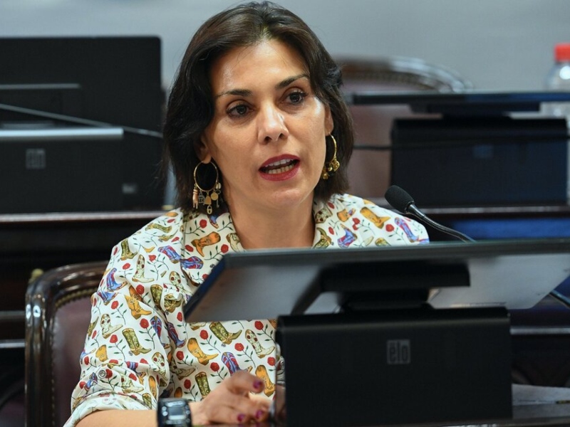 Senadora neuquina vota la ley Bases y se va a la Embajada de la Unesco en París Crexell