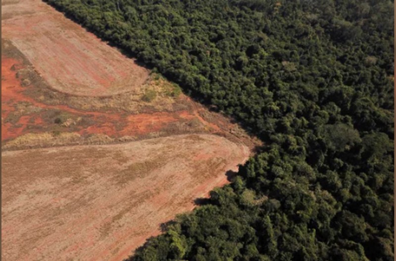 Perú: tensa situación en la Amazonía entre un grupo indígena y narcotraficantes Perú: tensa situación en la Amazonía entre un grupo indígena y narcotraficantes