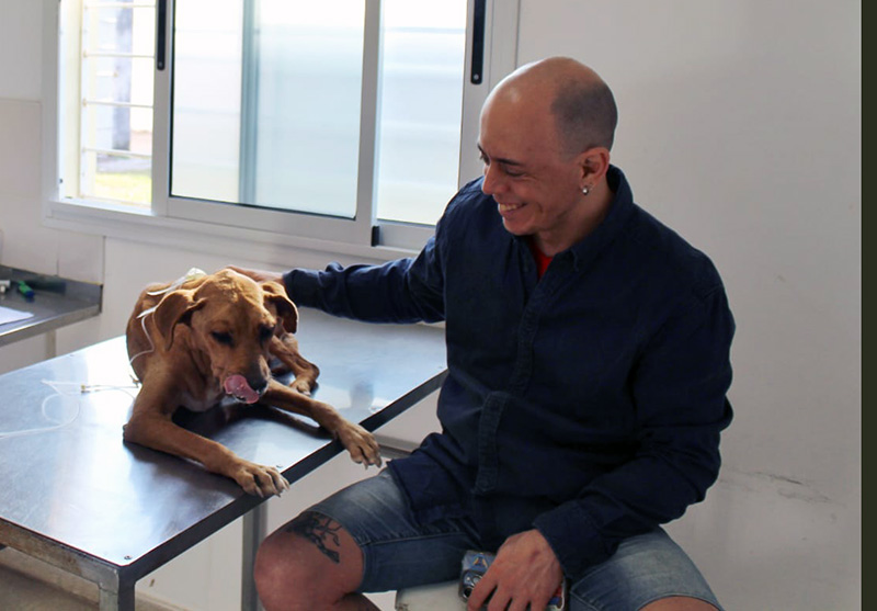 La Municipalidad de Resistencia entregará 250 turnos para la castración de mascotas La Municipalidad de Resistencia entregará 250 turnos para la castración de mascotas