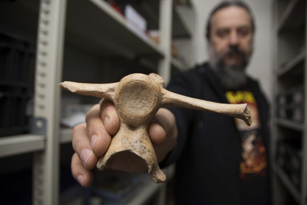 Científicos argentinos descubren el registro de presencia humana más antiguo de Sudamérica