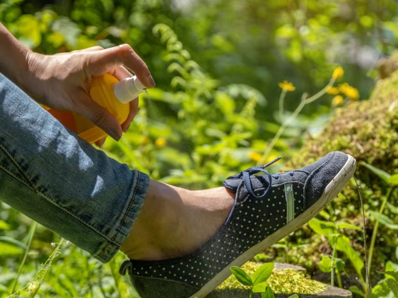 La Anmat prohibió un repelente para mosquitos transmisores del dengue La Anmat prohibió un repelente para mosquitos transmisores del dengue