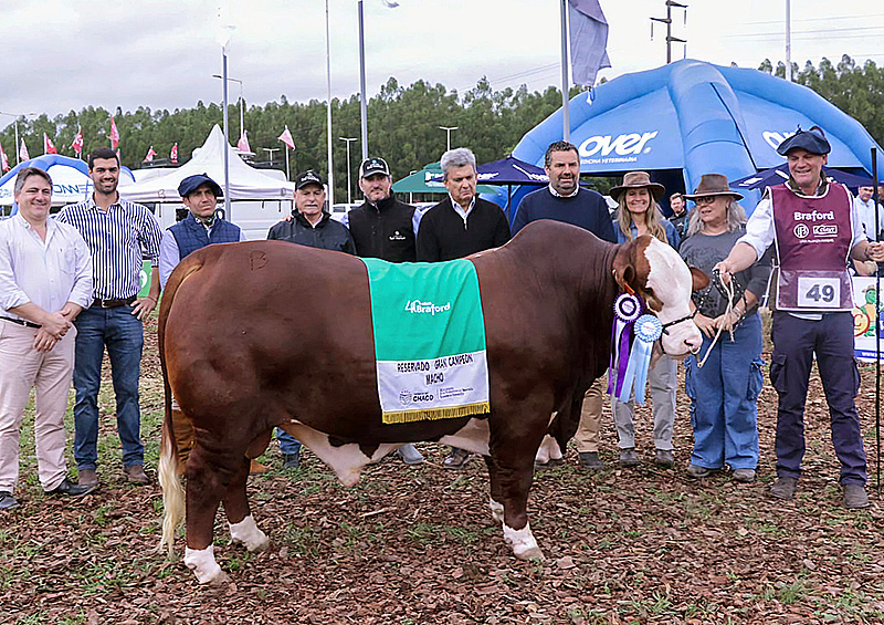 Concluyó con éxito la 1ª Edición Expo Primavera de Braford en Margarita Belén Concluyó con éxito la 1ª Edición Expo Primavera de Braford en Margarita Belén