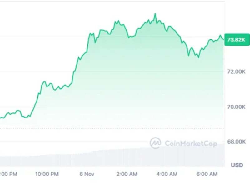 Las criptomonedas también festejan: el Bitcoin alcanza un máximo histórico tras elecciones en Estados Unidos Las criptomonedas también festejan: el Bitcoin alcanza un máximo histórico tras elecciones en Estados Unidos