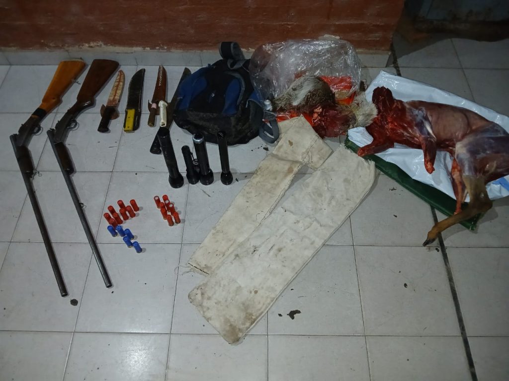 Operativo en Makallé: secuestran animales silvestres y detienen a cuatro hombres por caza ilegal