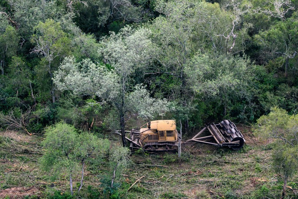 En solo seis meses, se deforestaron ilegalmente 31.000 hectáreas en Santiago del Estero y Chaco