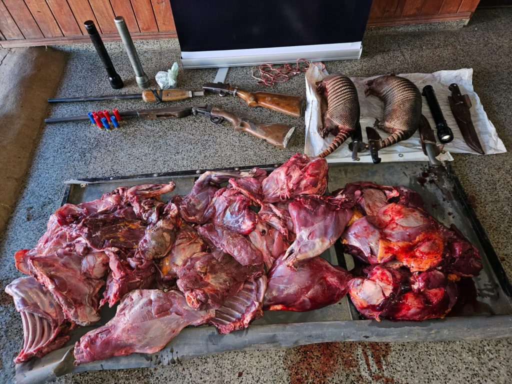 Tras operativo secuestraron animales faenados en supuesta caza ilegal