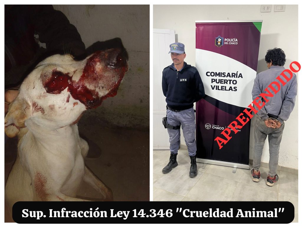 Aprehendieron a un joven por atacar con una gomera al perro de su vecina