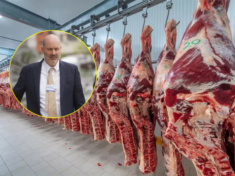 China rechazó carne argentina y crecen las críticas a Sturzenegger por el vaciamiento del Senasa China rechazó carne argentina y crecen las críticas a Sturzenegger por el vaciamiento del Senasa