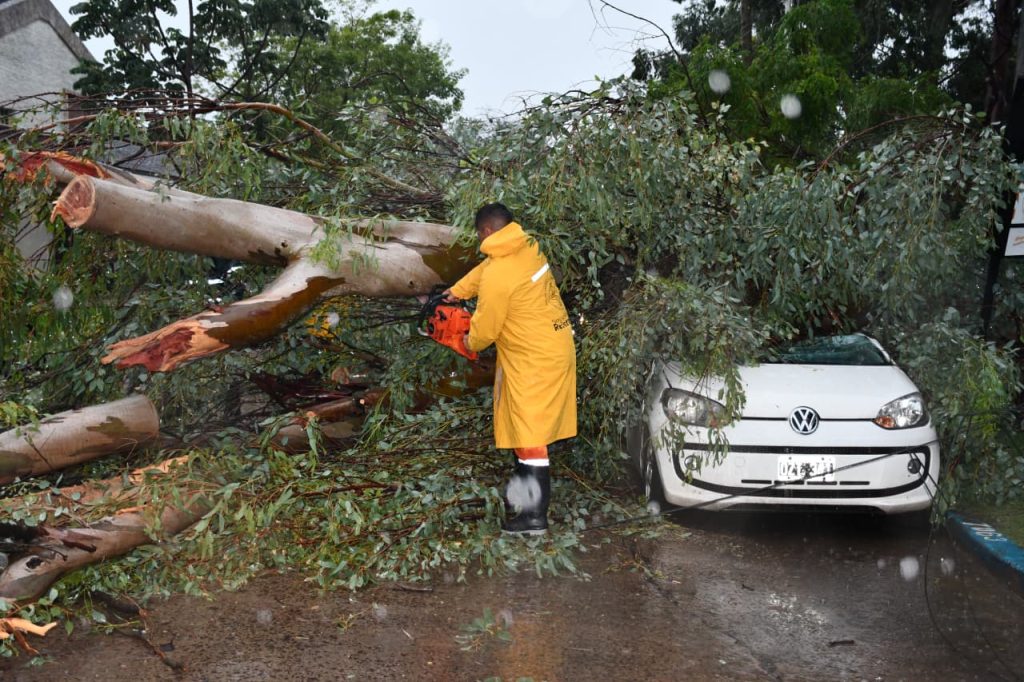 Tormenta en Resistencia: cayó un árbol y destruyó un auto estacionado
