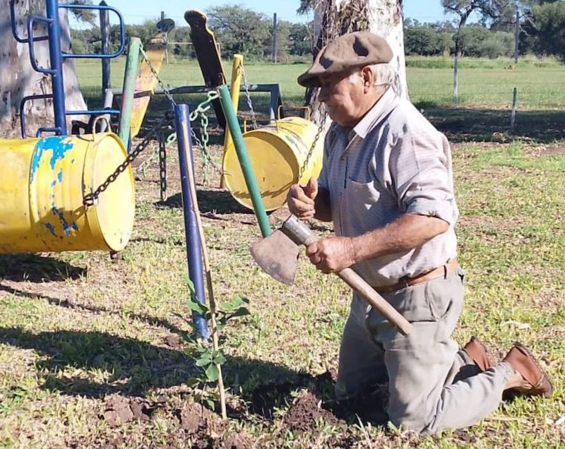 Las Breñas: entregaron plantines a una escuela rural para promover la forestación Las Breñas: entregaron plantines a una escuela rural para promover la forestación