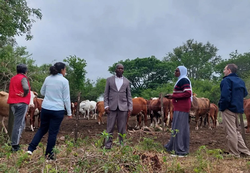 Corrientes y Chaco asesoraron en ganadería a productores de Kenia y Tanzania Corrientes y Chaco asesoraron en ganadería a productores de Kenia y Tanzania