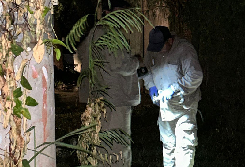 Intensos trabajos de SECHEEP tras la tormenta Intensos trabajos de SECHEEP tras la tormenta