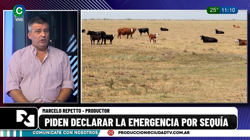 Emergencia Agropecuaria: “Hoy el Chaco está en una situación compleja desde el punto de vista productivo”, aseguró Marcelo Repetto Emergencia Agropecuaria: “Hoy el Chaco está en una situación compleja desde el punto de vista productivo”, aseguró Marcelo Repetto