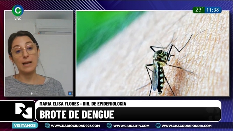 Brote de dengue en el Chaco: “La zona más afectada es todo el departamento San Fernando” Brote de dengue en el Chaco: “La zona más afectada es todo el departamento San Fernando”