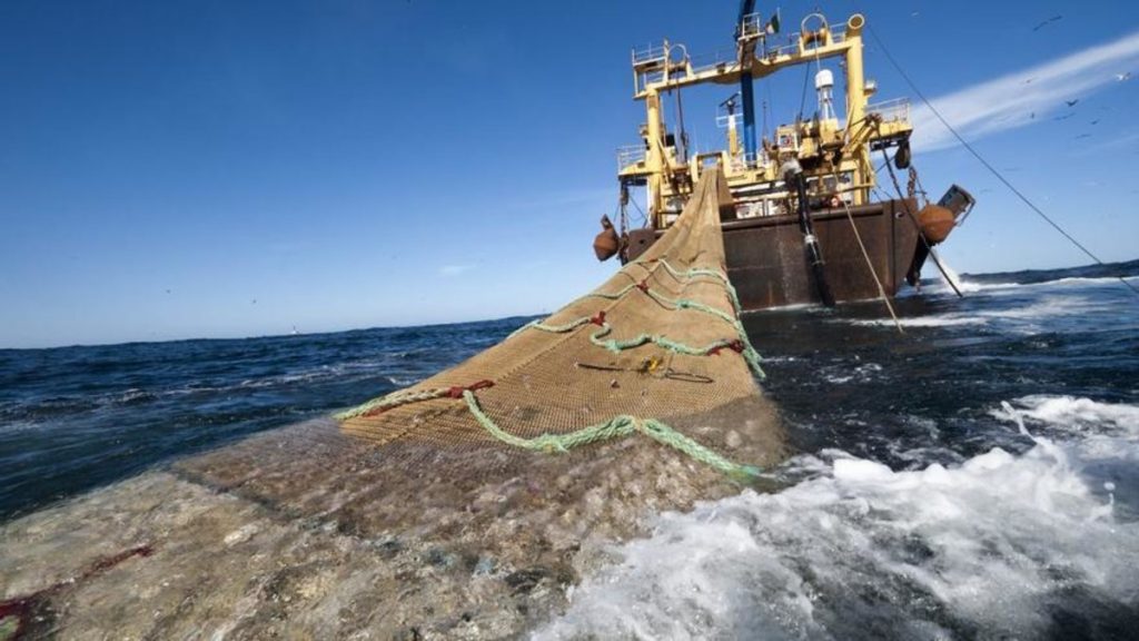 Investigan posible daño ambiental de un buque chino que pescaba de forma ilegal en el Mar Argentino