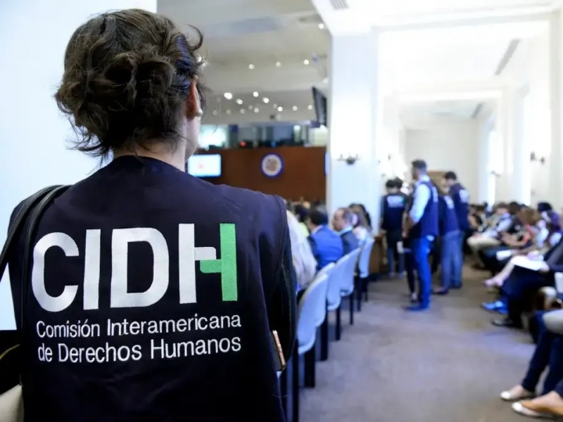 La Cidh Llama A Los Estados A Promover La Creación De Mecanismos