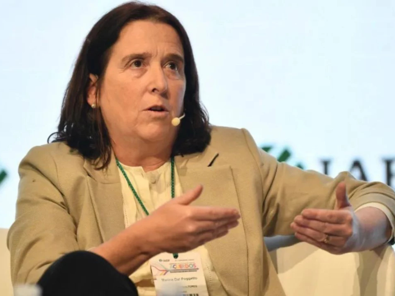 Dal Pogetto: “Esto sin superávit estaría descarrilando” Dal Pogetto: “Esto sin superávit estaría descarrilando”