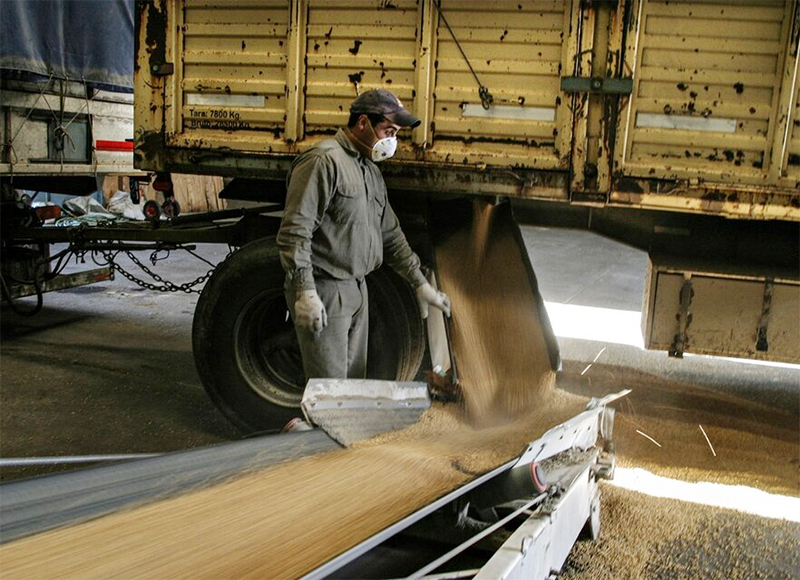 Comercio sumó otro incremento salarial del 13,5% para trabajadores de cerealeras Comercio sumó otro incremento salarial del 13,5% para trabajadores de cerealeras