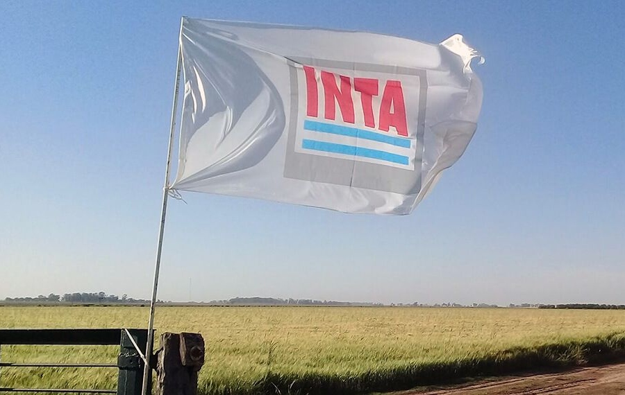 El Gobierno provincial valoró el respaldo del INTA al proceso de actualización del OTBN El Gobierno provincial valoró el respaldo del INTA al proceso de actualización del OTBN