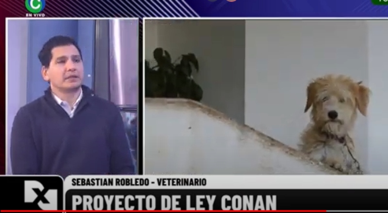Ley Conan: “Creo que la sanción va a dar pie para reglamentar la Ley de Bienestar Animal a nivel provincial” Ley Conan: “Creo que la sanción va a dar pie para reglamentar la Ley de Bienestar Animal a nivel provincial”