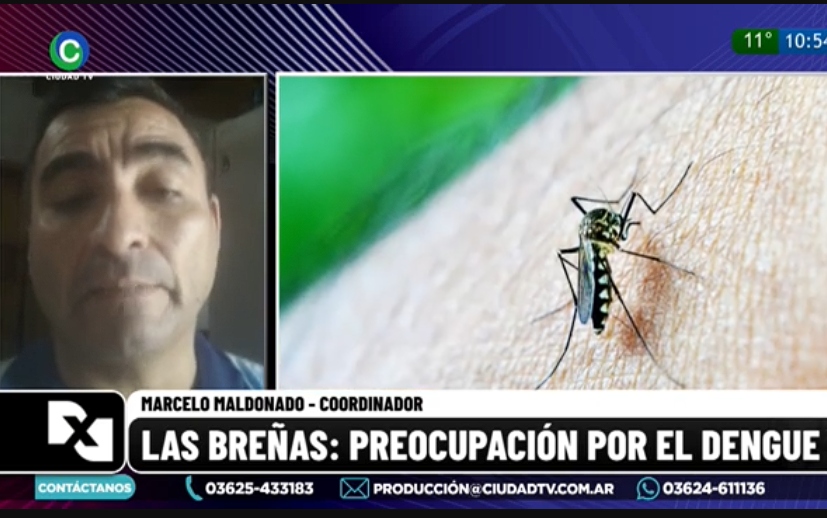 Descacharrado en Las Breñas para prevenir la propagación de dengue: “Es la estrategia más efectiva que tenemos” Descacharrado en Las Breñas para prevenir la propagación de dengue: “Es la estrategia más efectiva que tenemos”