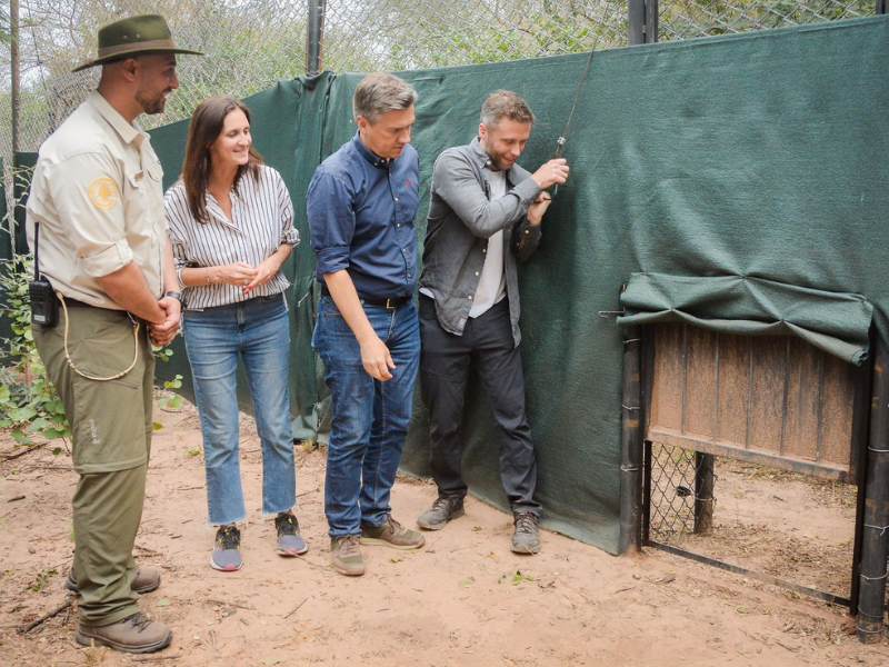 Zdero: “Liberar a Nalá es ratificar el compromiso con nuestros bosques y nuestra fauna” Zdero: “Liberar a Nalá es ratificar el compromiso con nuestros bosques y nuestra fauna”