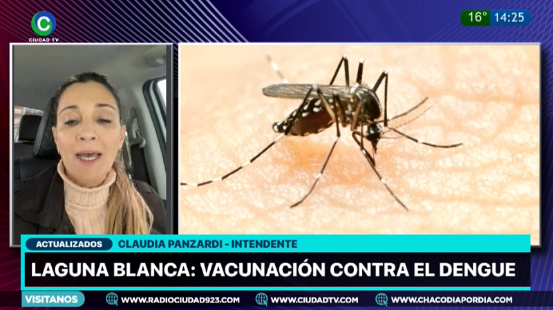 Vacunación contra el dengue en Laguna Blanca: “Necesitamos vacunar ya, para llegar inmunizados al verano” Vacunación contra el dengue en Laguna Blanca: “Necesitamos vacunar ya, para llegar inmunizados al verano”