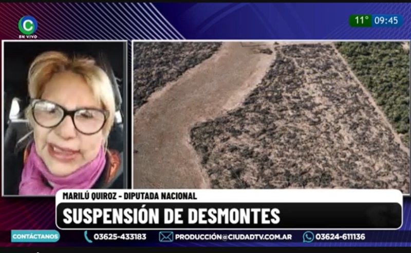Freno a los desmontes: “Esto es netamente político y perjudica al sector que realmente vive el día a día” Freno a los desmontes: “Esto es netamente político y perjudica al sector que realmente vive el día a día”
