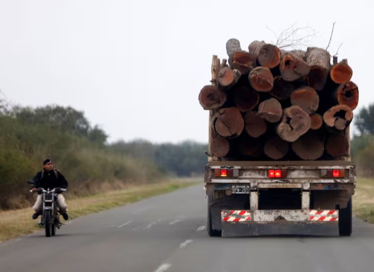 Bosques suspende emisión de guías de transportes de productos forestales Bosques suspende emisión de guías de transportes de productos forestales