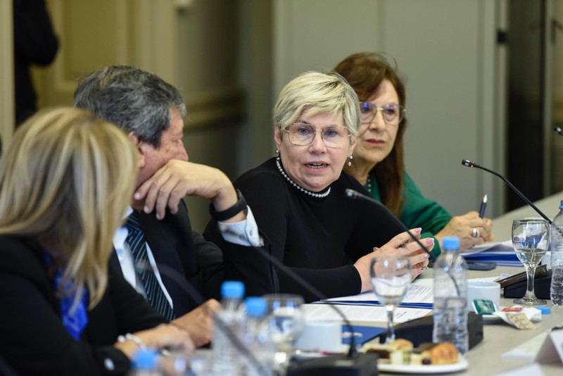 Consejo Federal de Educación: Naidenoff dio precisiones sobre la propuesta de formación profesional docente Consejo Federal de Educación: Naidenoff dio precisiones sobre la propuesta de formación profesional docente