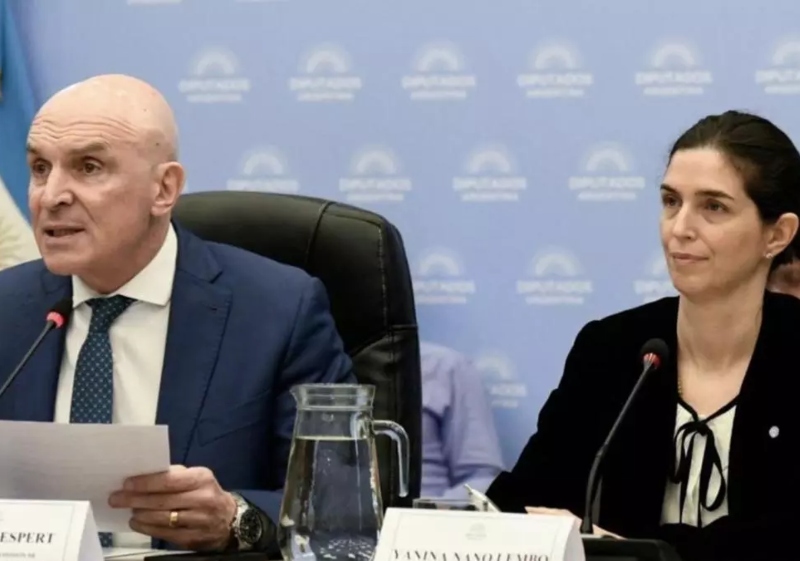 Funcionaria de Milei dijo que no hace cumplir la ley Lucio, de prevención de la violencia contra niños, por ser “ideologizada” Funcionaria de Milei dijo que no hace cumplir la ley Lucio, de prevención de la violencia contra niños, por ser “ideologizada”