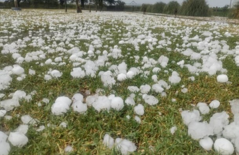 Un nuevo estudio revela patrones de granizo en la región de Chaco y Formosa Un nuevo estudio revela patrones de granizo en la región de Chaco y Formosa
