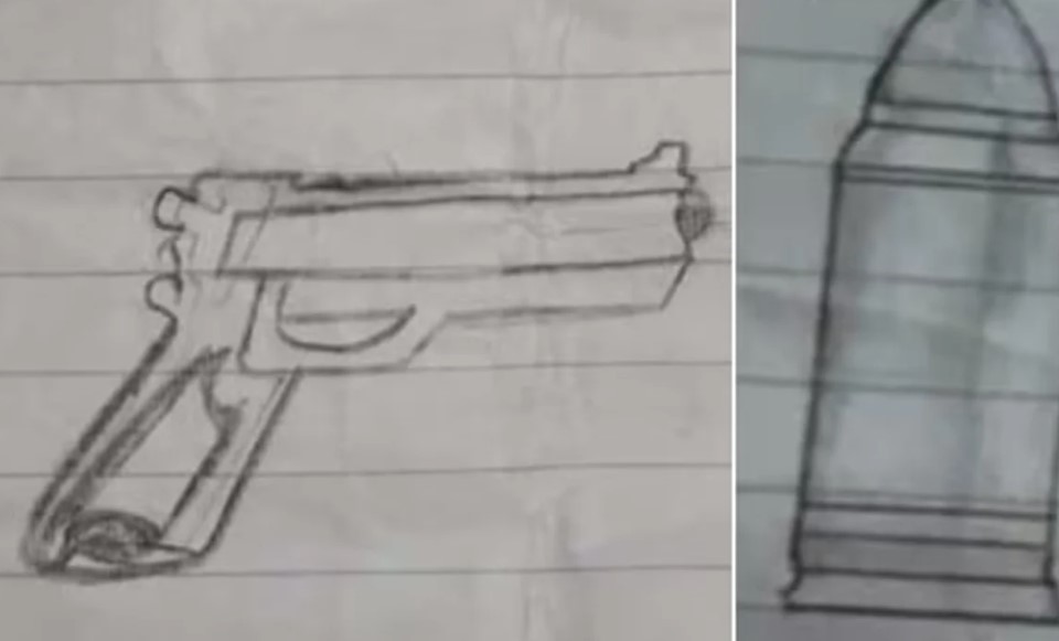 “Se van a arrepentir de llamarme rara”, una niña fue con un arma a la escuela en Florencio Varela “Se van a arrepentir de llamarme rara”, una niña fue con un arma a la escuela en Florencio Varela