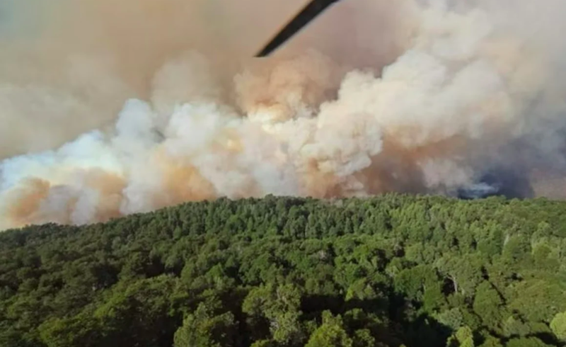 Incendio en el Parque Nacional Nahuel Huapi: ya se consumieron más de 1.800 hectáreas Incendio en el Parque Nacional Nahuel Huapi: ya se consumieron más de 1.800 hectáreas