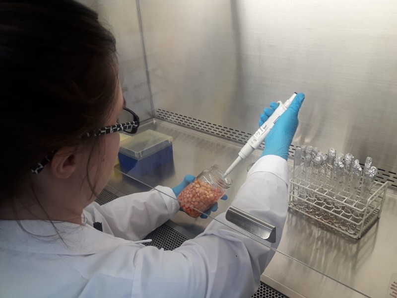 El Gobierno facilita a los laboratorios la importación de muestras y la exportación de servicios de ensayo El Gobierno facilita a los laboratorios la importación de muestras y la exportación de servicios de ensayo