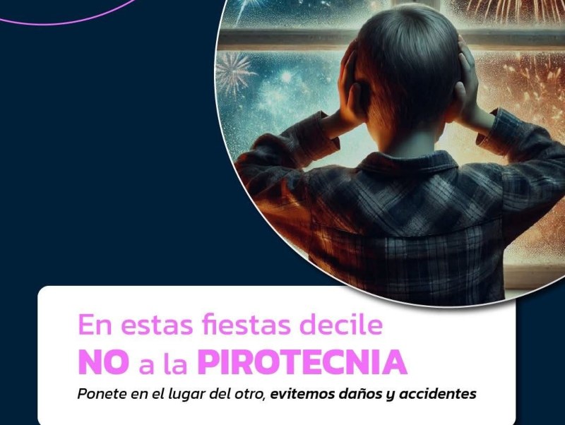 Reiteran el pedido para celebrar las Fiestas sin pirotecnia Reiteran el pedido para celebrar las Fiestas sin pirotecnia