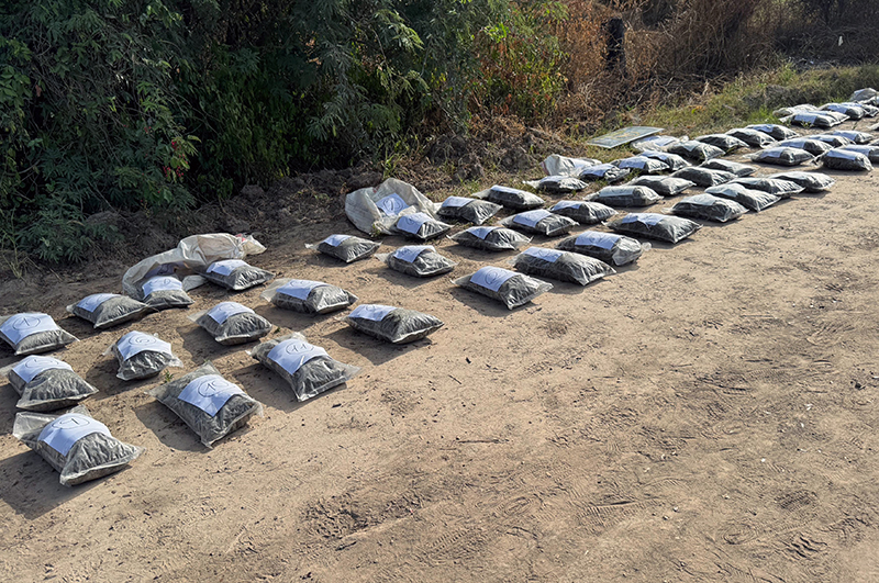 Incautaron más de 50 kilos de marihuana en Paraje Pindó en otro nuevo golpe al narcotráfico Incautaron más de 50 kilos de marihuana en Paraje Pindó en otro nuevo golpe al narcotráfico