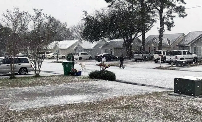 Mientras Donald Trump niega el cambio climático, una ola polar azota la Florida en Estados Unidos Mientras Donald Trump niega el cambio climático, una ola polar azota la Florida en Estados Unidos