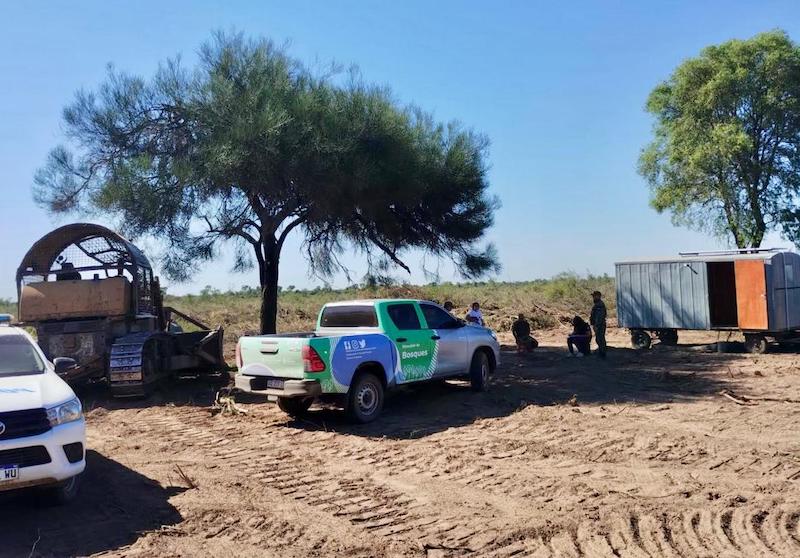 Bosques detuvo otros dos desmontes ilegales en Pampa del Infierno y en Tres Isletas Bosques detuvo otros dos desmontes ilegales en Pampa del Infierno y en Tres Isletas