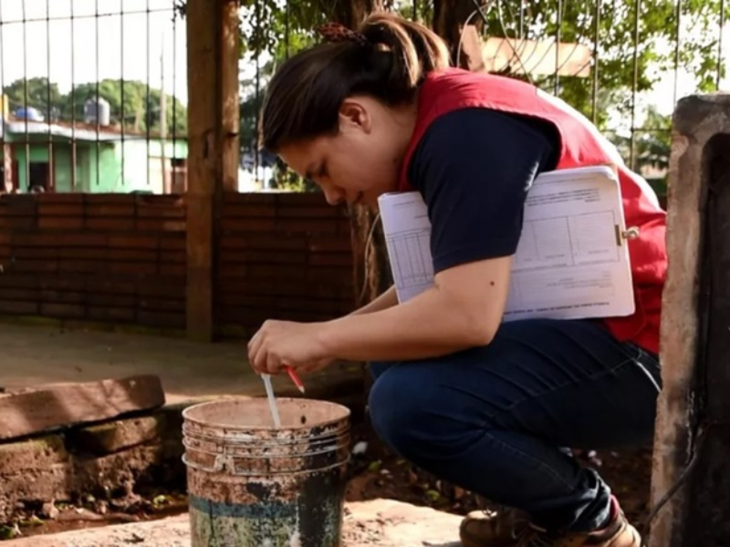 Advierten en la región por un serotipo de dengue menos común y asociado a casos graves Advierten en la región por un serotipo de dengue menos común y asociado a casos graves