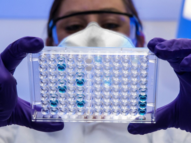Cáncer: avanza una terapia que refuerza las defensas del organismo y ataca al tumor Cáncer: avanza una terapia que refuerza las defensas del organismo y ataca al tumor