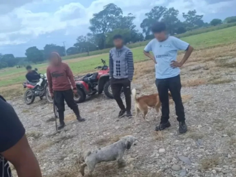 Un hombre fue condenado a dos años de prisión por matar a una perra Un hombre fue condenado a dos años de prisión por matar a una perra