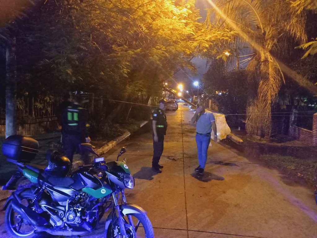 El temporal provocó anegamientos, voladuras de techos y caída de árboles en Resistencia