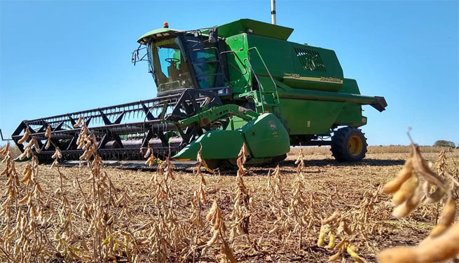 Lluvias y heladas marcan los desafíos climáticos al campo en el oeste provincial Lluvias y heladas marcan los desafíos climáticos al campo en el oeste provincial