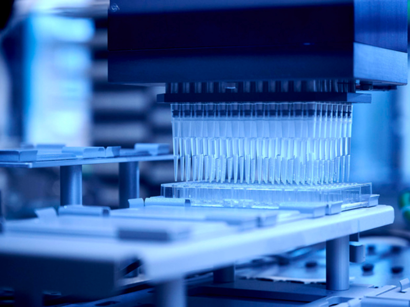 Un proyecto científico propone crear paracetamol a partir de residuos plásticos usando bacterias modificadas Un proyecto científico propone crear paracetamol a partir de residuos plásticos usando bacterias modificadas