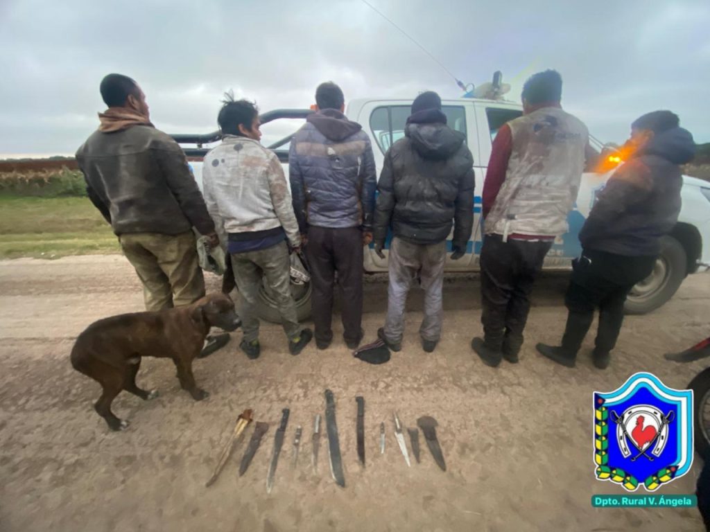 Secuestran más de 200 kilos de carne de caza ilegal y armas blancas Secuestran más de 200 kilos de carne de caza ilegal y armas blancas