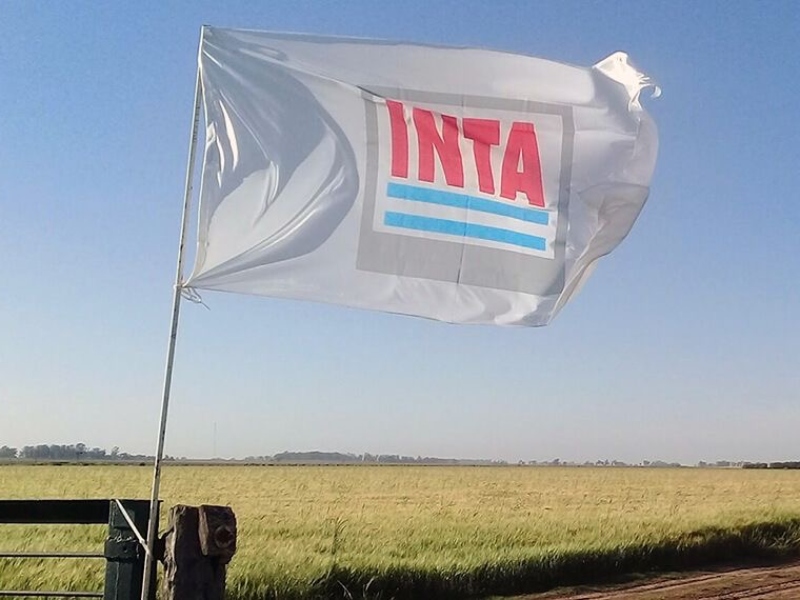 Un llamado a nuestros gobernantes: “El INTA que conocimos” Un llamado a nuestros gobernantes: “El INTA que conocimos”